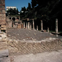 Die Palestra